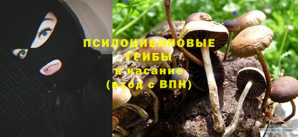 а пвп мука Дмитриев
