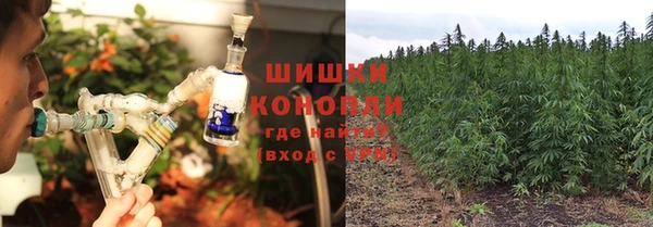 а пвп мука Дмитриев