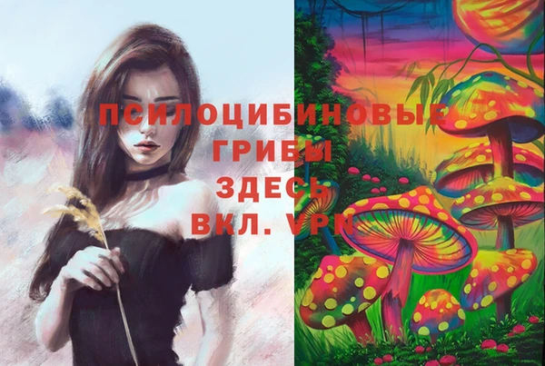 гидра Дмитровск