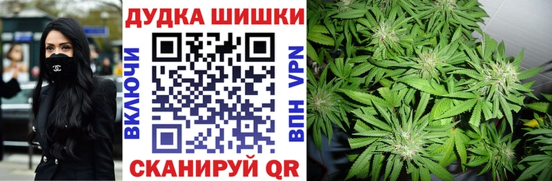 Купить закладки Петровск-Забайкальский Канабис THC 21%